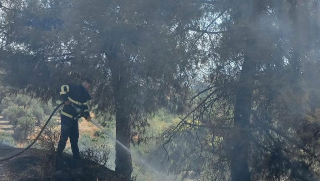 Hatay’da örtü yangını