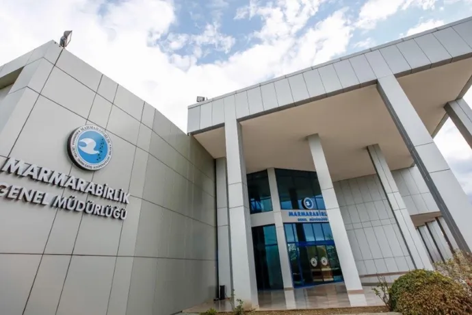 Marmarabirlik’ten zeytinciye 800 milyon TL daha… Fark ödemelerinin tarihi de belli oldu