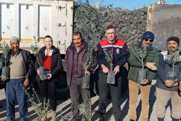 Uşak’ta çiftçilere 5 bin zeytin fidanı dağıtıldı!